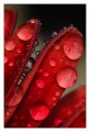 09- e piove